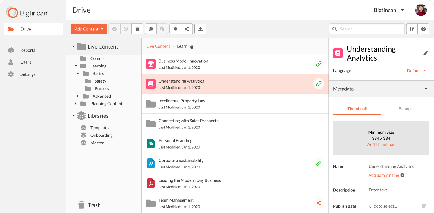 Drive File Selected - Details Pane.png